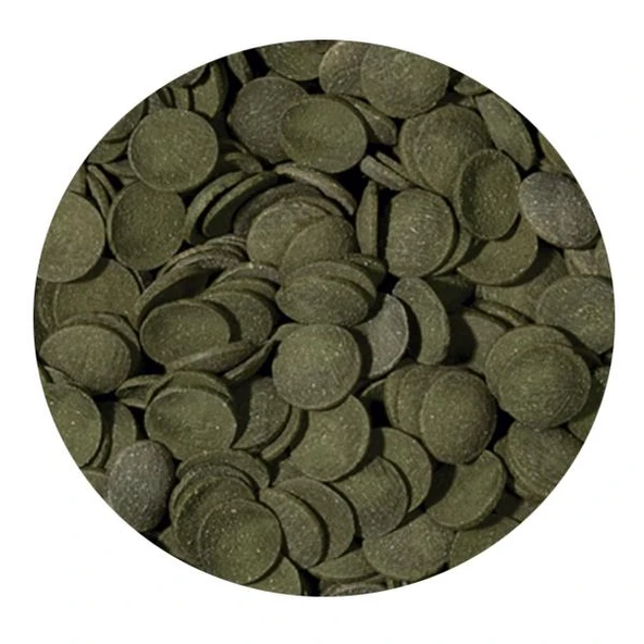 Tropical Green Algae Wafers 250ml 113gr - Resim 2