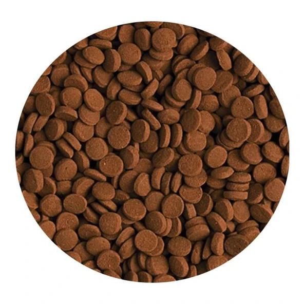 Tropical Carnivore 1000ml 600gr - 2