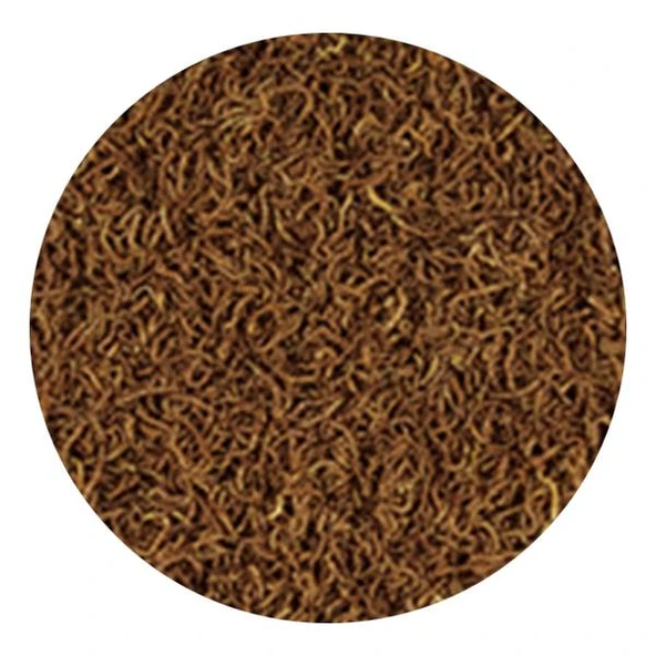 Tropical FD Bloodworms Kan Kurdu 250ml 17gr - 2