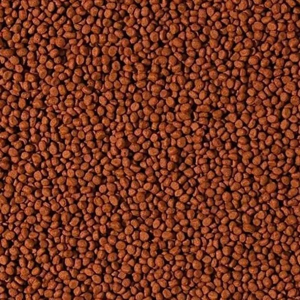 Tropical Cichlid Carnivore Medium Pellet 250gr - Resim 2