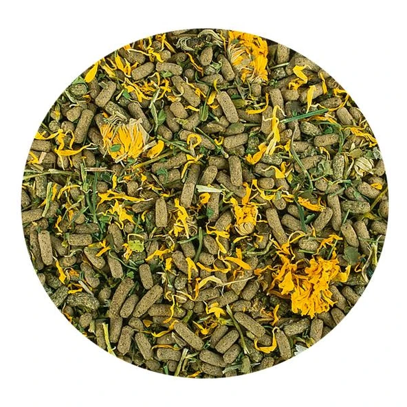 Tropical Reptil Herbivore 1000ml 260gr - Resim 2