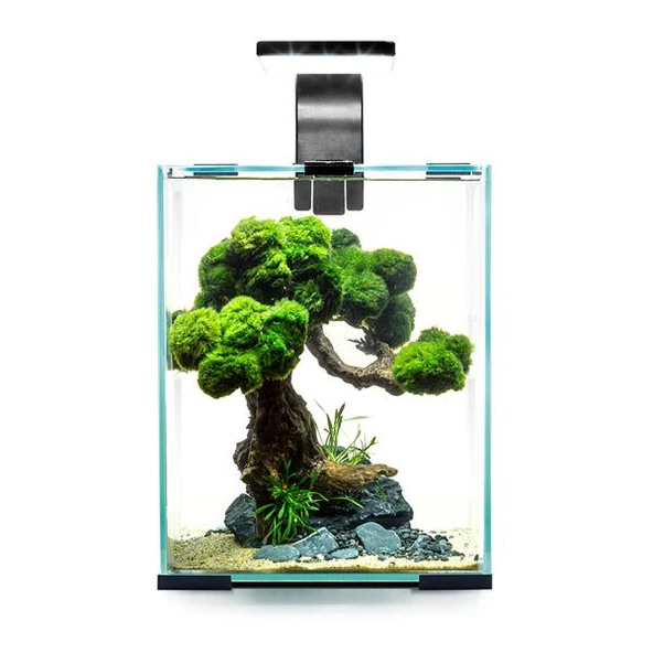 Aquael Shrimp Set Day and Night 10 Karides Akvaryumu Beyaz