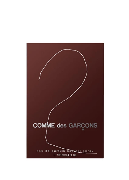 Comme Des Garcons 2 EDP 100 ml Unisex Parfüm