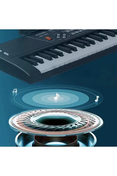 61 Tuşlu Elektronik Org Mikrofonlu Çocuk ve Başlangıç İçin Keyboard Demolu Ritimli - 5
