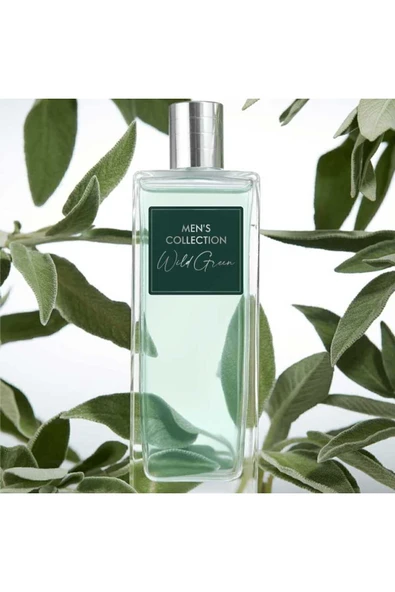 Men's Collection Adaçayının Canlandırıcı Kokusuna Sahip Wild Green EdT Erkek Parfümü - 1