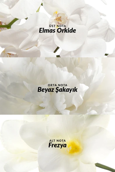 Incandessence Kadın Parfüm Edp 50 Ml. - 3