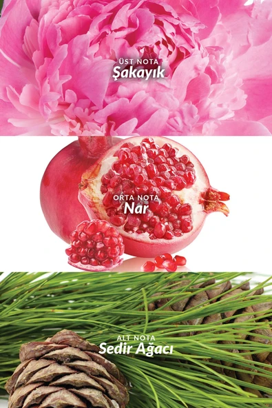 Eve Truth Kadın Parfümü Edp 50 Ml. - 3