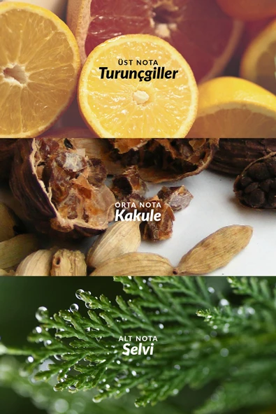 Full Speed 75 Ml. Erkek Parfüm - 3