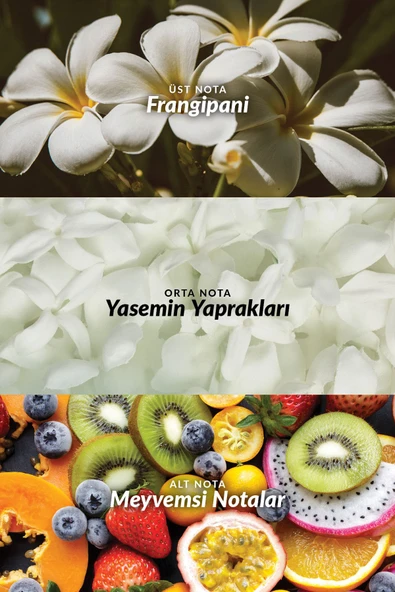 Tta This Love Kadın Parfüm Edp 50 Ml. - 3