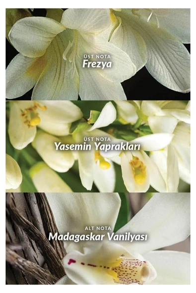 Far Away Kadın Parfüm Ve Anew Radiance Maximising Gold Yüz Maske Seti - 4