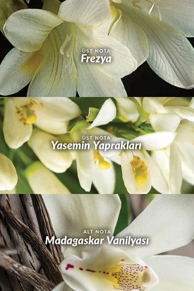 Far Away Kadın Parfüm Edp 50 Ml. Üçlü Set - 4