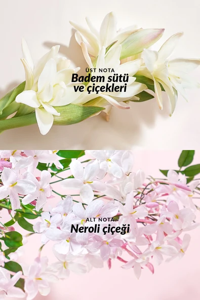 TTA Everlasting Kadın Parfüm EDP 50 ml - 3