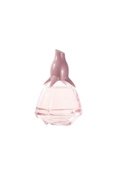 VOLERA TENDER EDP