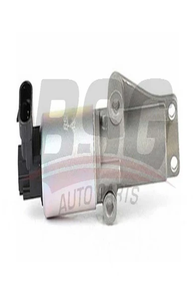 BSG 65-836-009 Egr Valfi 65836009 (WA778973) ürün görseli 1