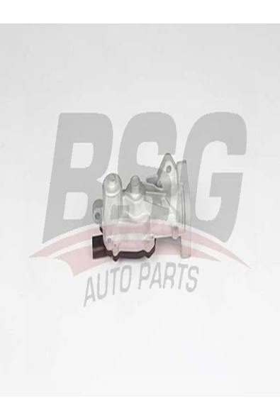 BSG 65-836-014 Egr Valfi 65836014 (WC228751) ürün görseli