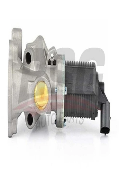 BSG 65-836-008 Egr Valfi 65836008 (WF141982) ürün görseli 1