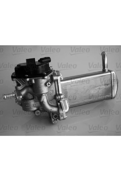 VALEO 700439 Egr Valfı A4 07-09 2.0 Tdı Uyumlu