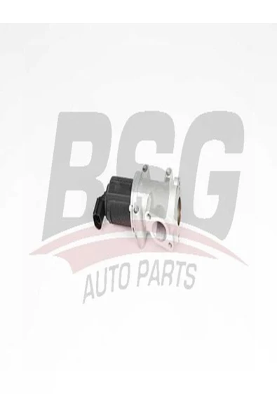 BSG 65-836-011 Egr Valfi 65836011 (WA625933) ürün görseli