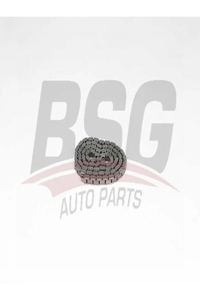 BSG 60-105-001 Eksantrik Zinciri 60105001 (WA959168) ürün görseli 1