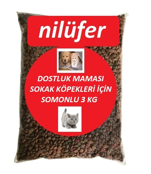 Nilüfer Dostluk Mamaso Sokak Köpekleri İçin Somonlu Köpek Maması 3 KG - 1