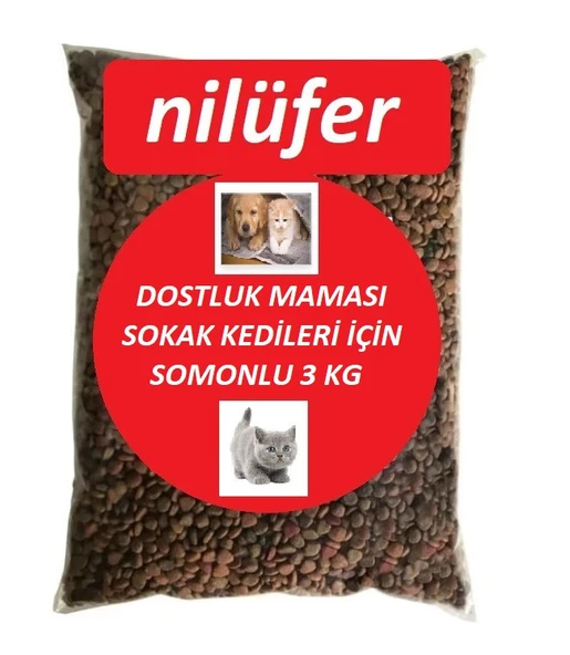 Nilüfer Sokak Kedileri İçin Somonlu Dostluk Kedi Maması 3 KG