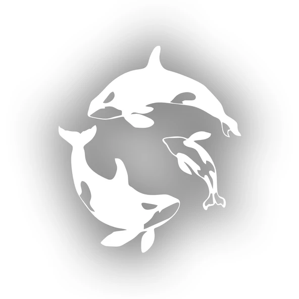 Balinalar Araba Sticker 17x17 Cm Beyaz ürün görseli