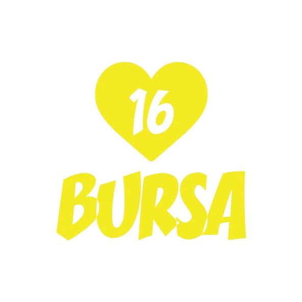 Kalpli 16 Bursa Araba Sticker 17x17 Cm Sarı