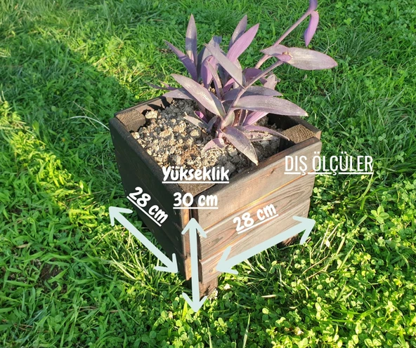 Wood&Pot Dış Mekan Küçük Boy Saksı - 28x28x30 - 4