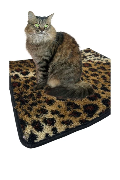 Yumuşak Dokulu Peluş Kedi Halısı 40x40 cm Kulübe İçi Pofuduk Minder