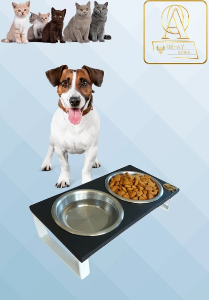 Kedi ve Köpekler İçin Mama ve Su Standı - Yüzde 10 Eğimli, Yüksek Kalite ve Sağlıklı Tasarım ürün görseli