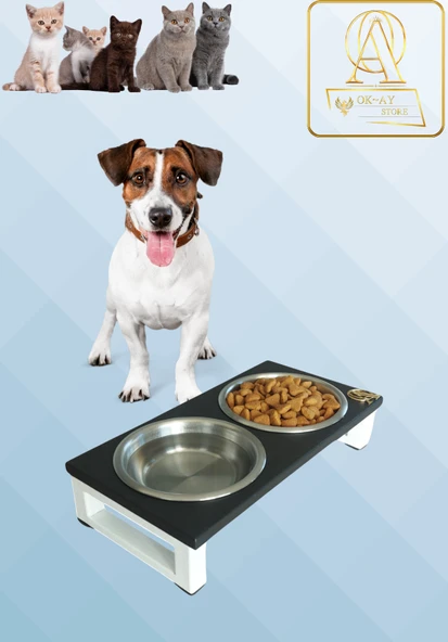 Kedi ve Köpekler İçin Dayanıklı Mama ve Su Standı Sağlıklı ve Şık Tasarım - 1