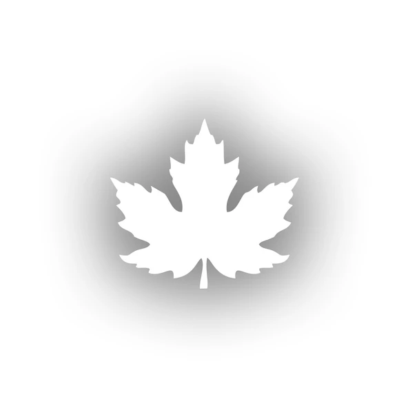 Çınar  Yaprağı Araba Sticker 17x17 Cm Beyaz ürün görseli