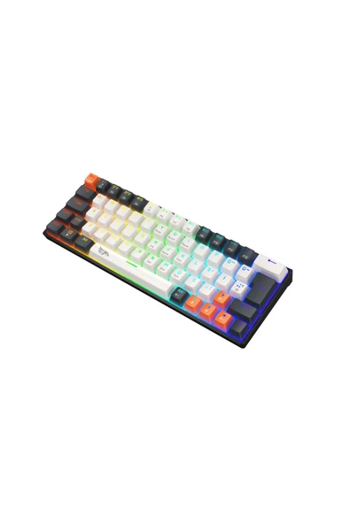 gameagle Mk64 Pro 10 Farklı Rainbow Aydınlatma Mekanik Blue Swıch Klavye (BAB KOMBİNASYON) - 4