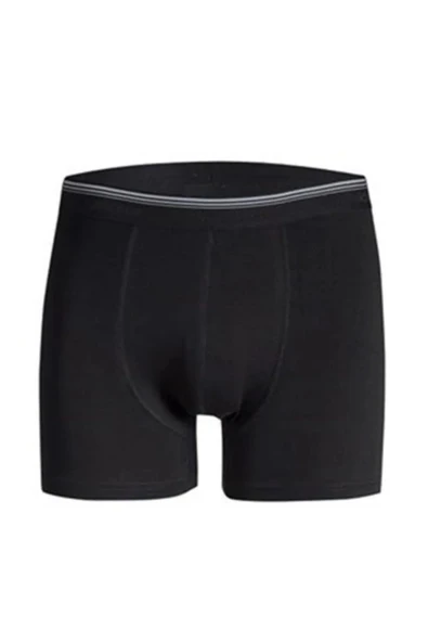 Güryıldız Underwear Güryıldız 12'li Siyah Kısa Spor Kesim Likralı Boxer 24513