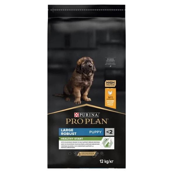 Pro Plan Puppy Large Robust Tavuklu Büyük Irk Yavru Köpek Maması 12Kg