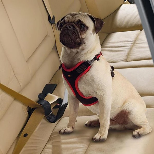 Ferplast Dog Travel Belt Araç Emniyet Kemeri - 2