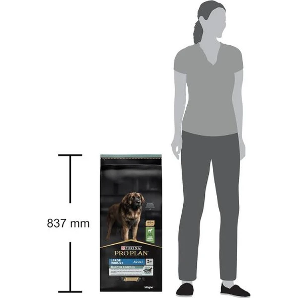 Pro Plan Adult Large Robust Kuzu Etli Büyük Irk Yetişkin Köpek Maması 14Kg - 7