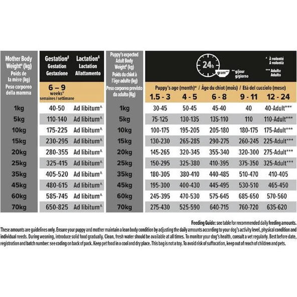 Pro Plan Puppy Medium Somonlu Orta Irk Yavru Köpek Maması 12Kg - 4