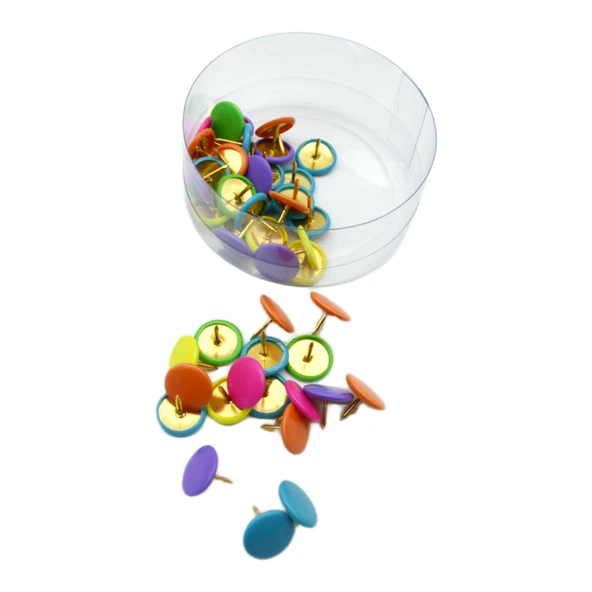 Linea Plastik Başlı Renkli Raptiye 50 li (RP50) - 3