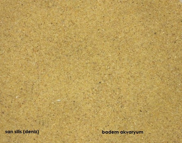 Akvaryum Sarı Silis Kum 0,1 mm 1 kg Deniz Kum İnce