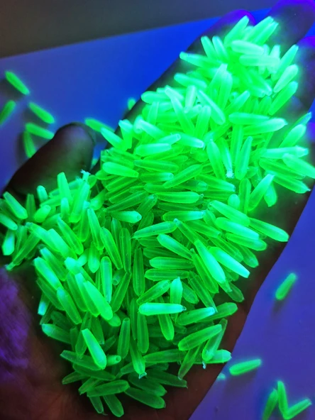 Eagenset Neon Ultraviyole Uv Yumuşak Silikon Yeşil 50 Adet 1,3 cm. Delik: 2mm - 2