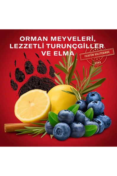 Old Spice Bearglove Erkekler İçin Stick Deodorant 50 ml - Resim 5