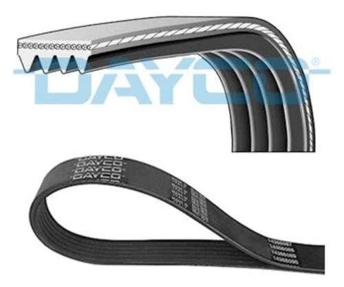 Dayco 941045  Triger Eksantrik Kayışı 116Rp - 254Ht Scudo Jumpy C4 Pıcas C5 Cmax Focus III Mond-Sm Ax 308 407 Express 2.0HDI 10-