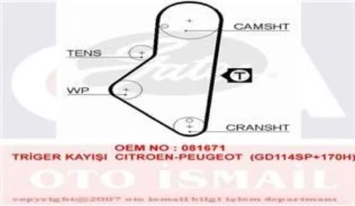 Gates 5215XS TRIGER EKSANTRIK KAYISI 205 306 405 406 / XSARA XANT ürün görseli 1