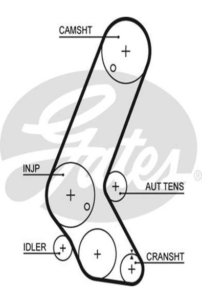 Gates 5595XS Triger Kayisi ( Opel : Astra G H 1.7 Cdti 04.03-- Honda 14400plzd00 97227192 (wf295825) ürün görseli 1