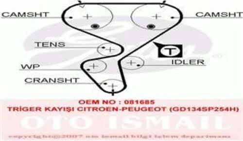 Gates 5458XS TRIGER EKSANTRIK KAYISI 106 206 307 PARTNER II / SAX ürün görseli 1