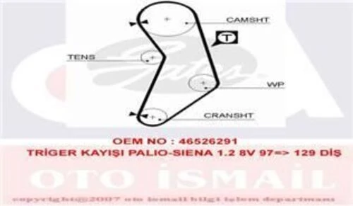 Gates 5545XS TRIGER EKSANTRIK KAYISI PALIO SIENA DOBLO PANDA PUNT