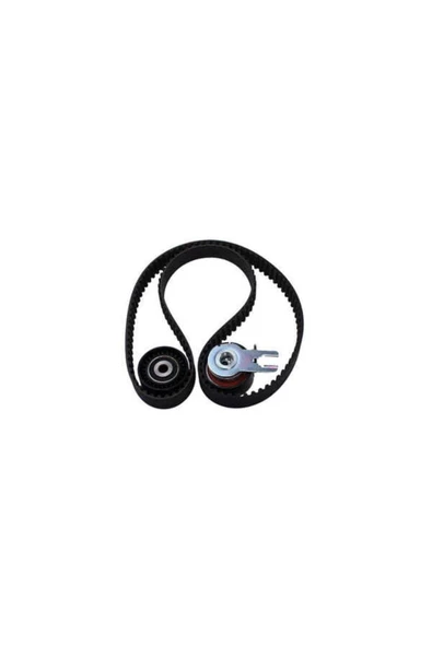 Eurorepar E118431 Triger Seti P307 1,6hdı Dv6 /gat-k015598xs