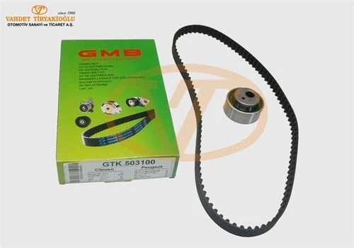 Gmb GTK503100 Eksantrik Seti P106-P206-P309-Partner 1,3-1,4-Ber