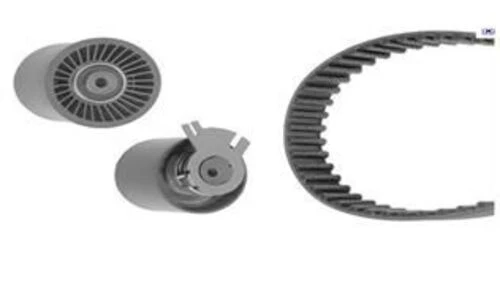 Renault 7701477380   TRİGER EKSANTRİK GERGİ SETİ LAGUNA II ürün görseli 1